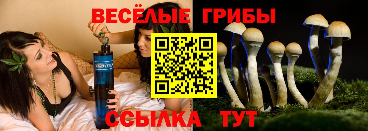 Камышин  цена   Вход с VPN  Псилоцибиновые грибы Cubensis 